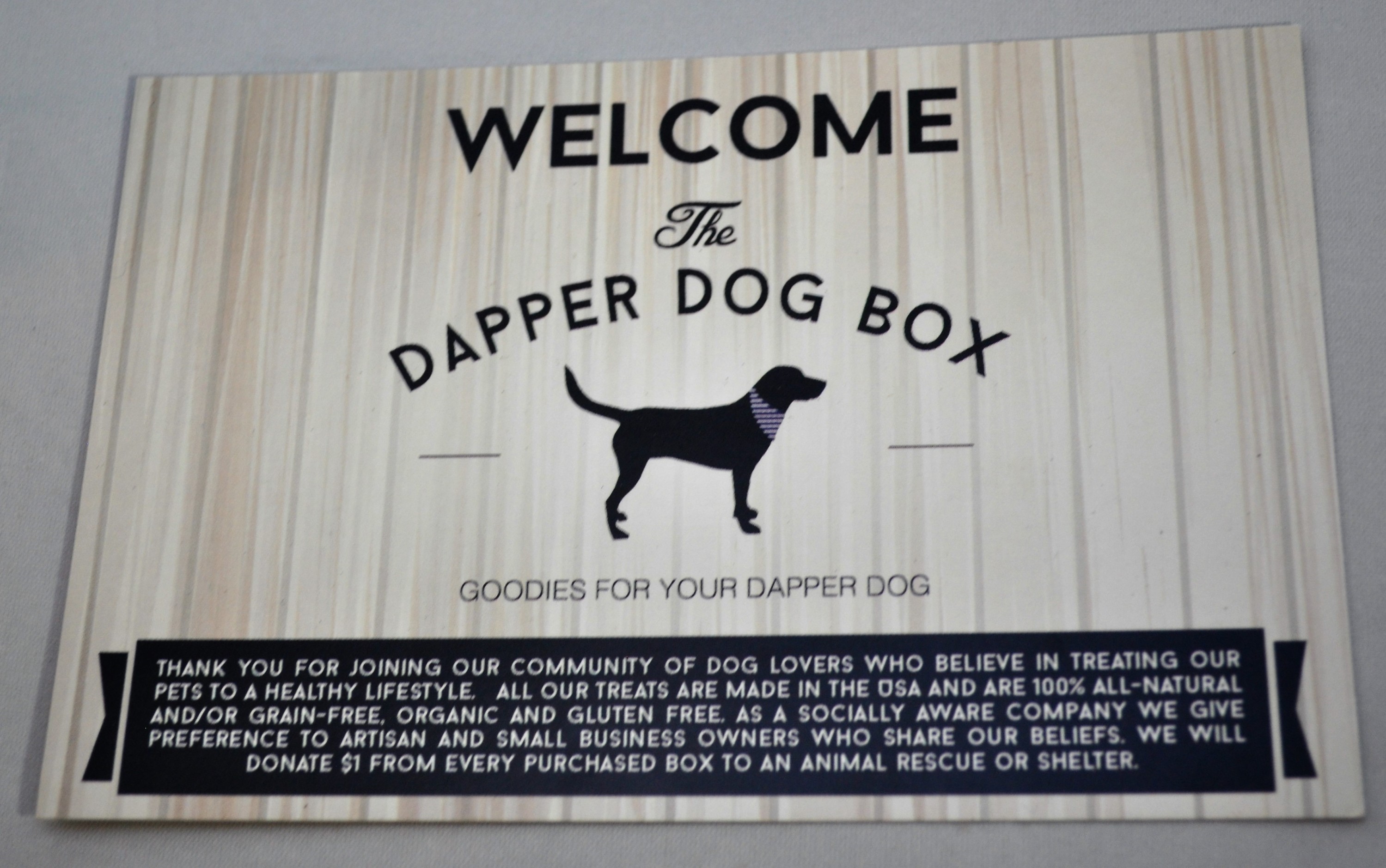 Dapper Dog August 2016 Insert Front