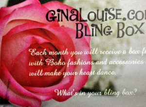Gina Louise; Gina Louise Bling Box; Gina Louise Designs; Subscription Box; Clothing Subscription;