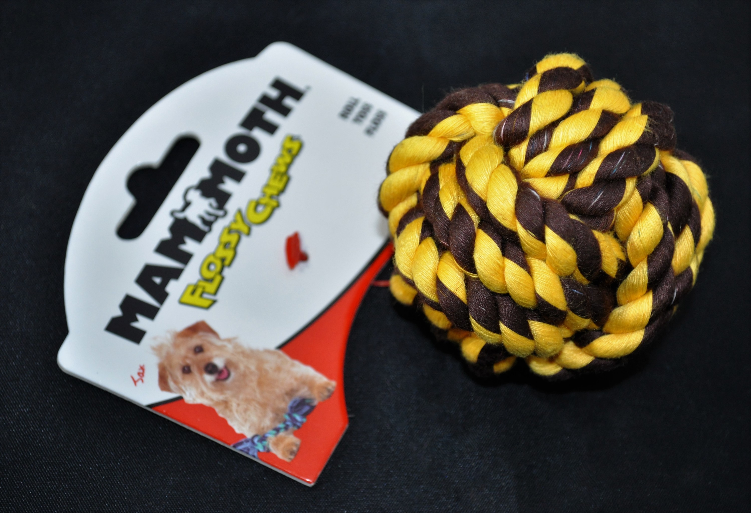 paw-pals-with-annie-november-2016-rope-ball-1