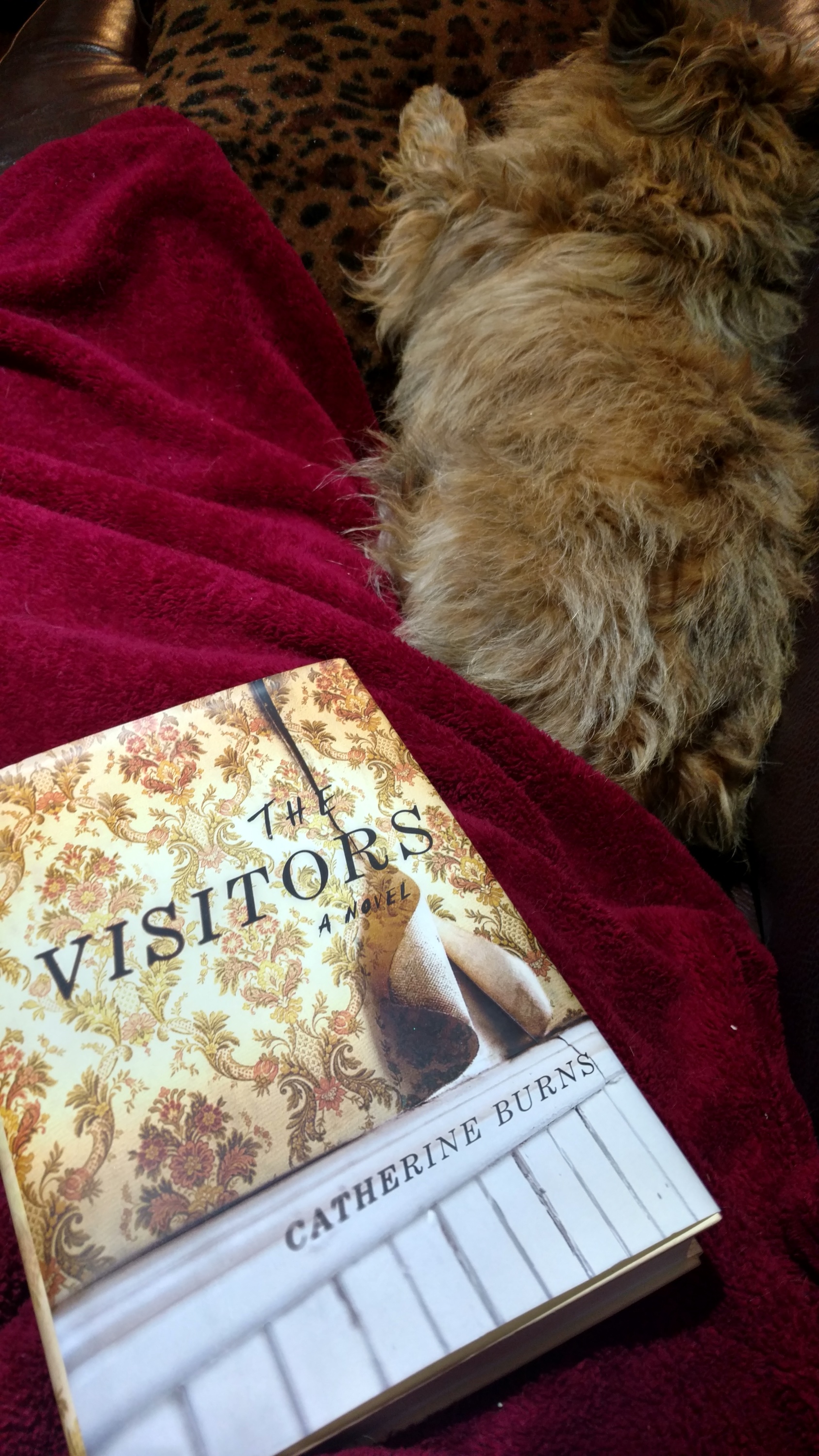 Book Reviews The Visitors 2