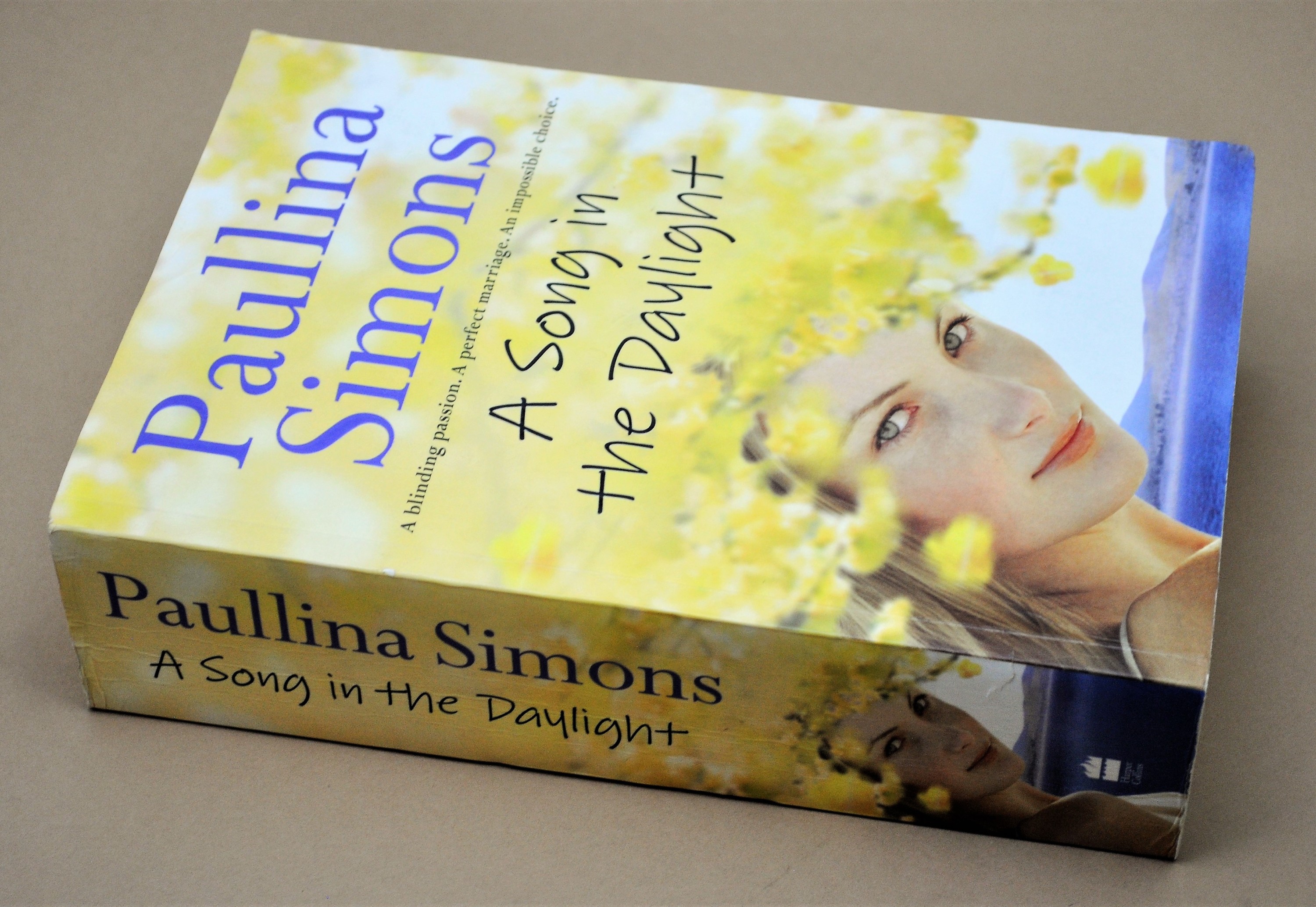 A Song in the Daylight; Paullina Simons; Paullina Simons Books; Book Reviews