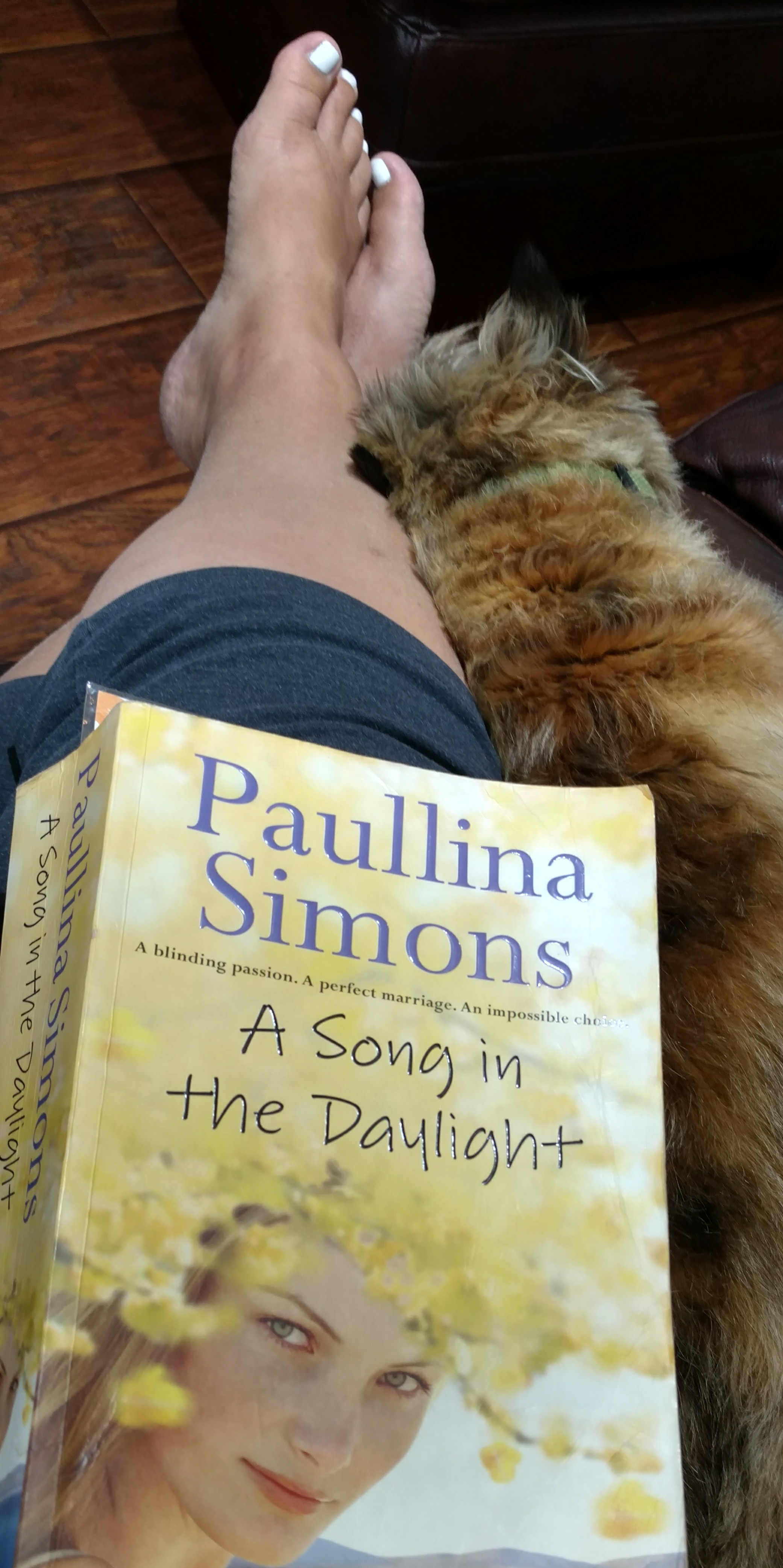 A Song in the Daylight; Paullina Simons; Paullina Simons Books; Book Reviews