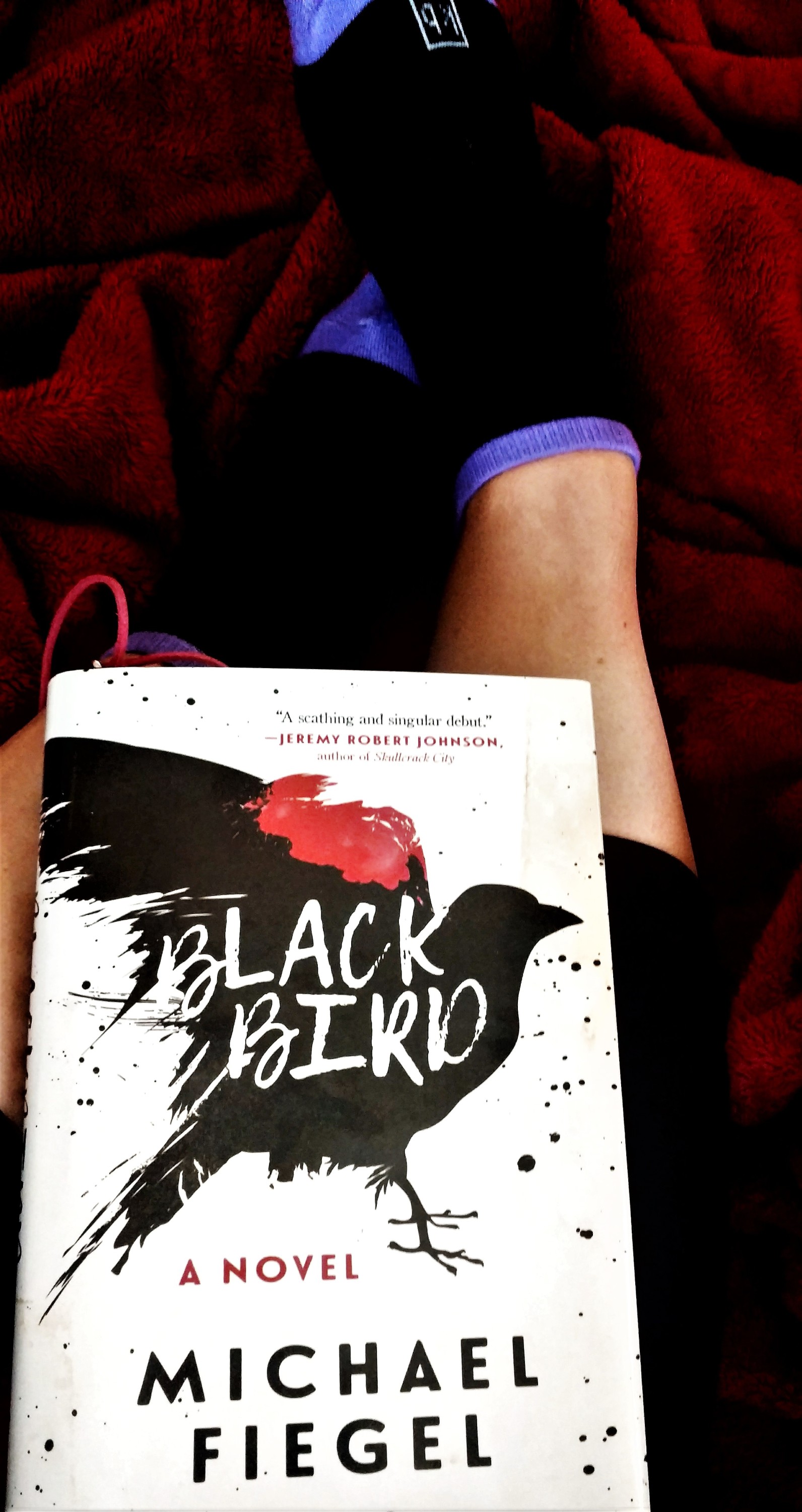 Black Bird; Michael Fiegel; Book Reviews