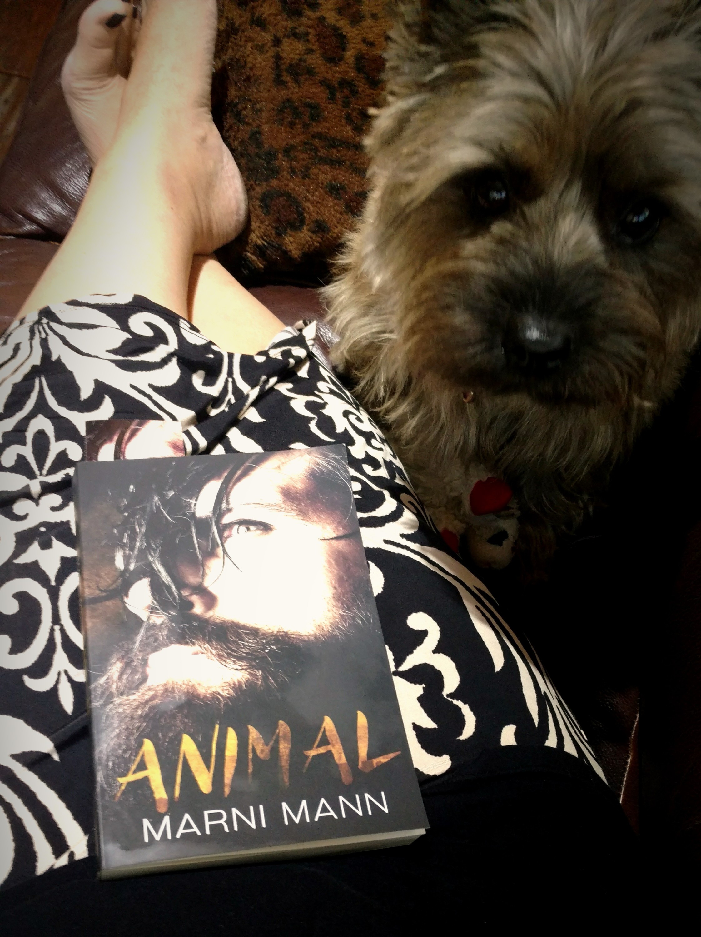 Animal Marni Mann Book Review