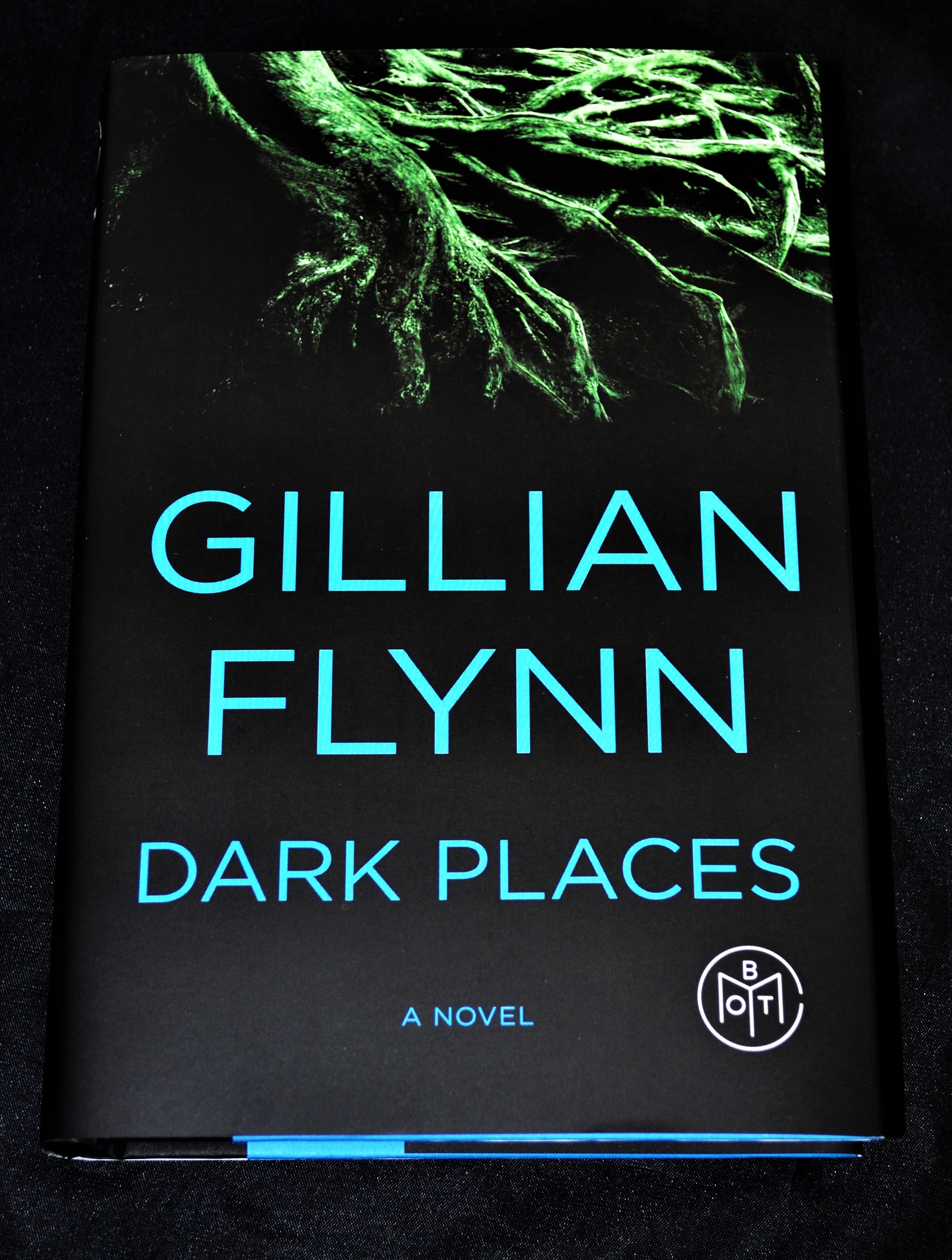 Dark Places Gillian Flynn Book Review