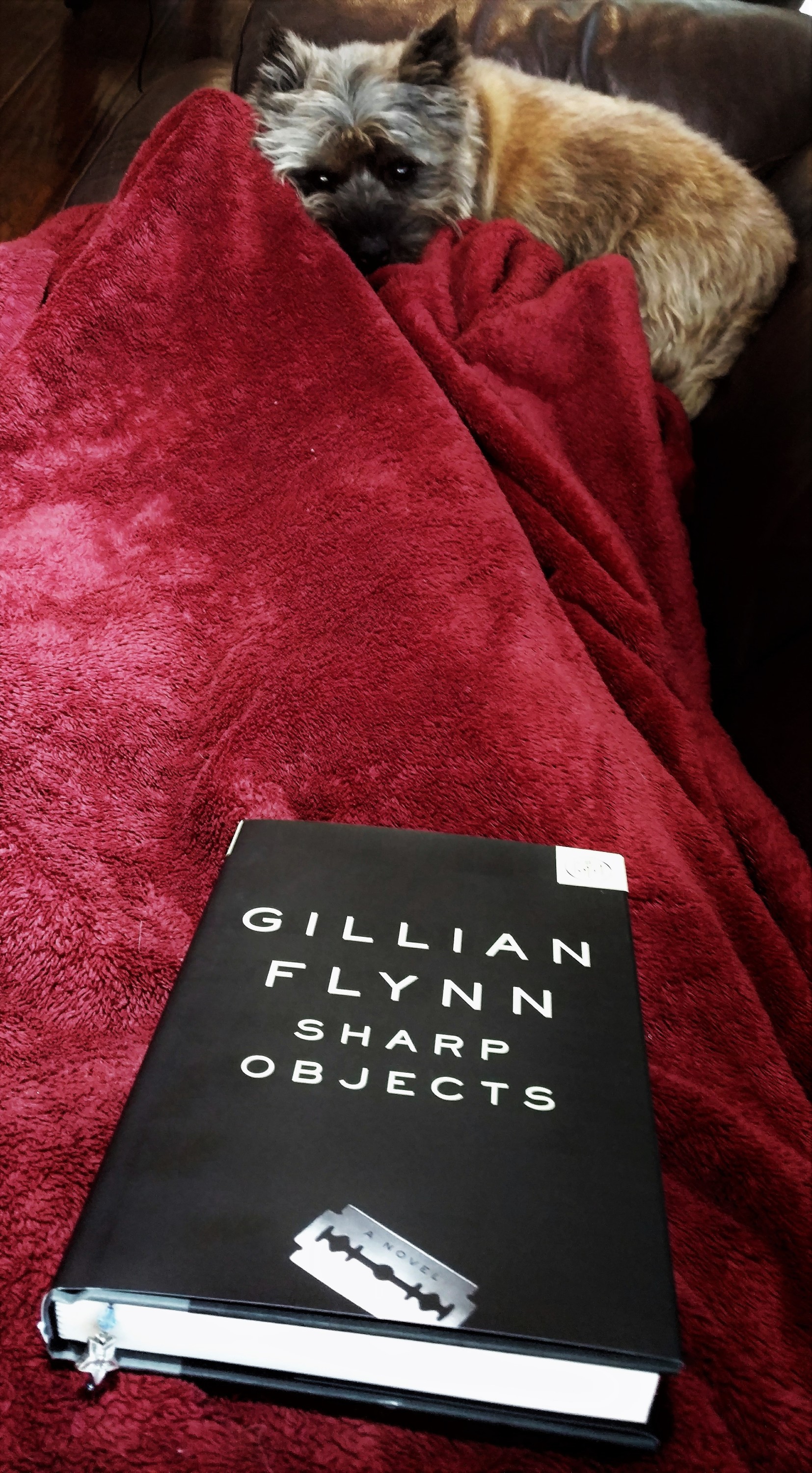 Sharp Objects Gillian Flynn Book Review