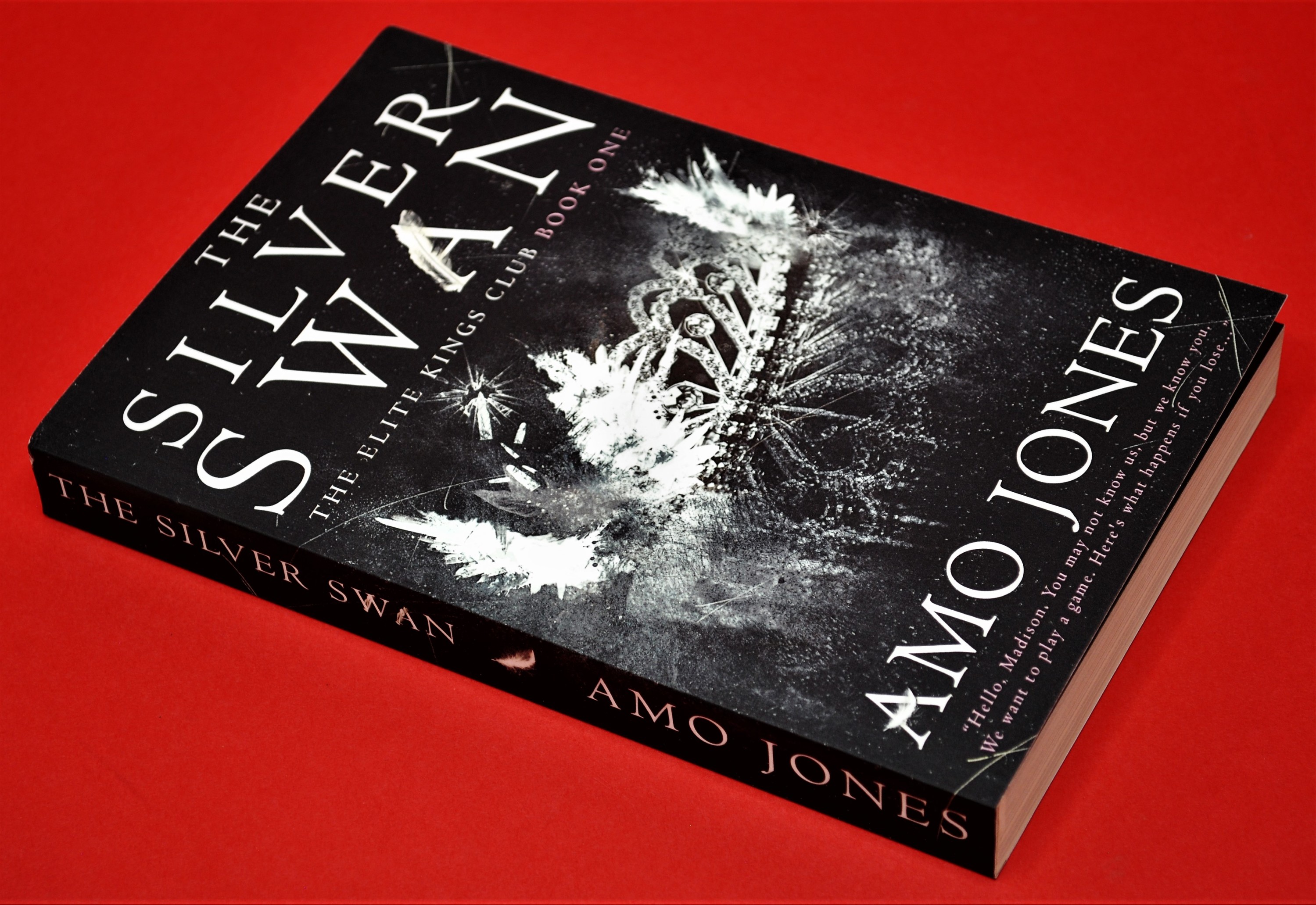 Silver Swan Amo Jones Book Review