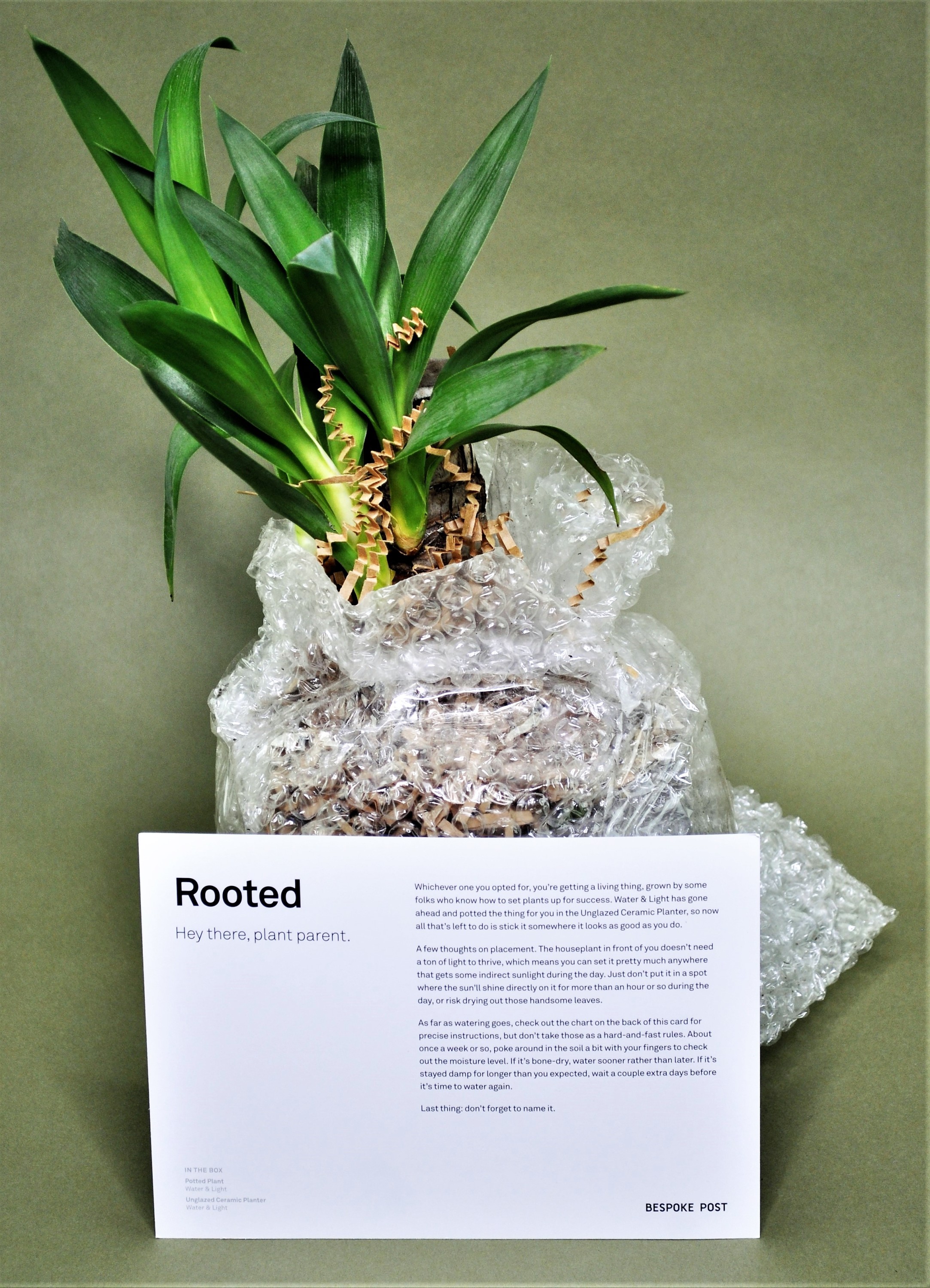 Bespoke Post Rooted Box Review