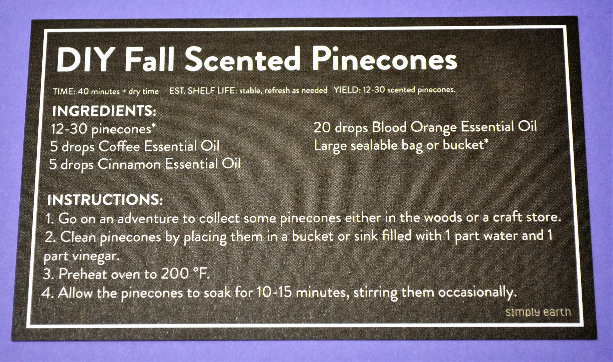DIY Fall Scented Pinecones Recipe Card